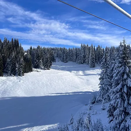 Villa четири сезона 12 Stoykite