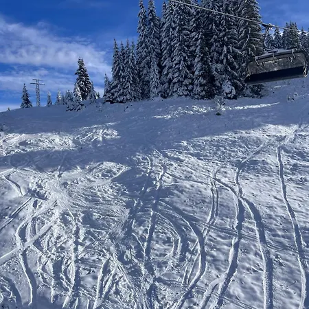 Villa четири сезона 12 *