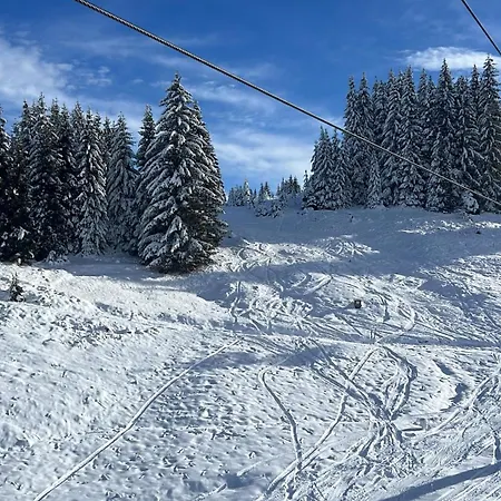 четири сезона 12 * Stoykite