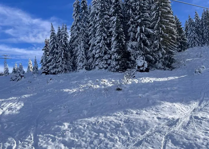 четири сезона 12