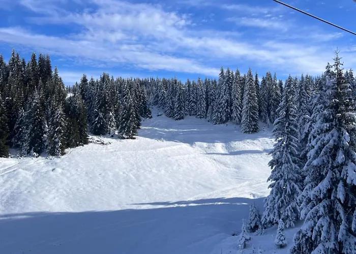 ヴィラ четири сезона 12 Stoykite