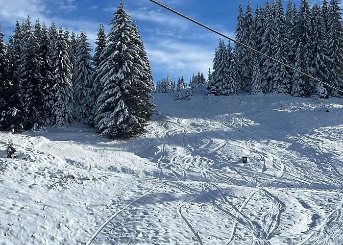 четири сезона 12 * Stoykite